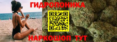 соль ск Дубна