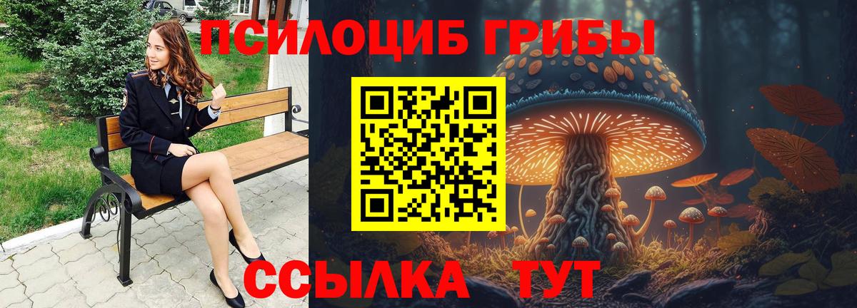Мирный  Галлюциногенные грибы мухоморы  Вход с VPN 