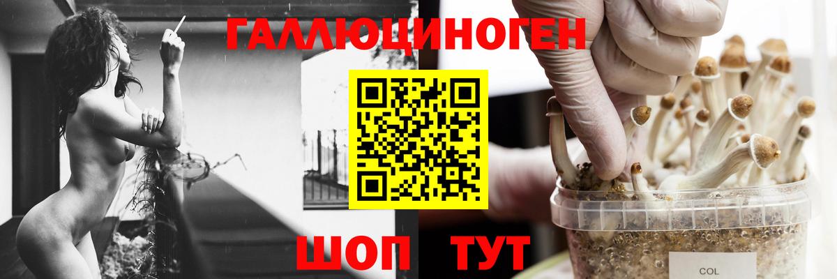Псилоцибиновые грибы Cubensis Мирный